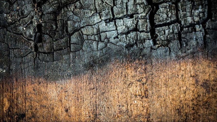 Bouw verrassend veilig met hout