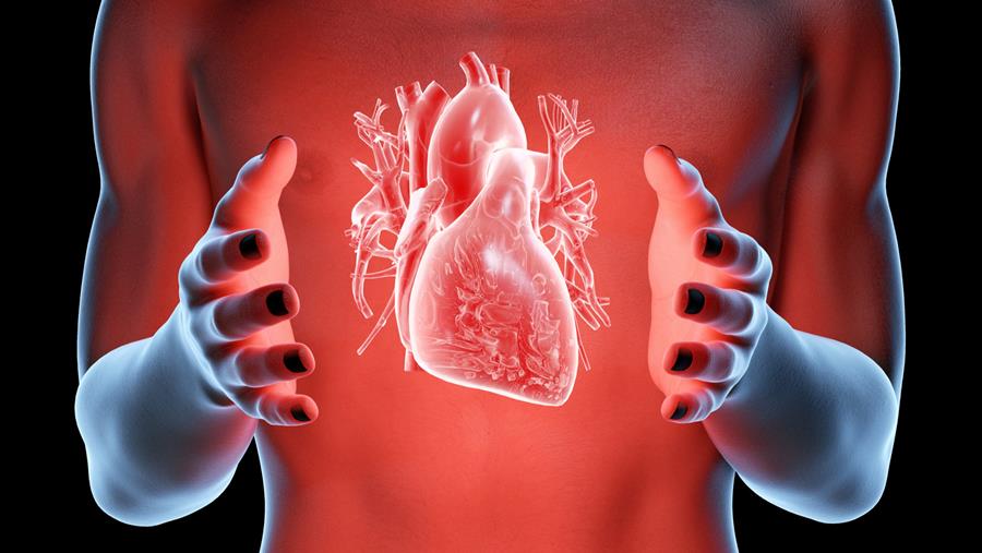 Pr Jean-Noël Fabiani-Salmon : une histoire de cœur