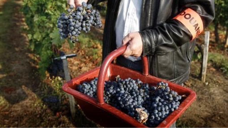 Wonen bij wijngaard is ongezond