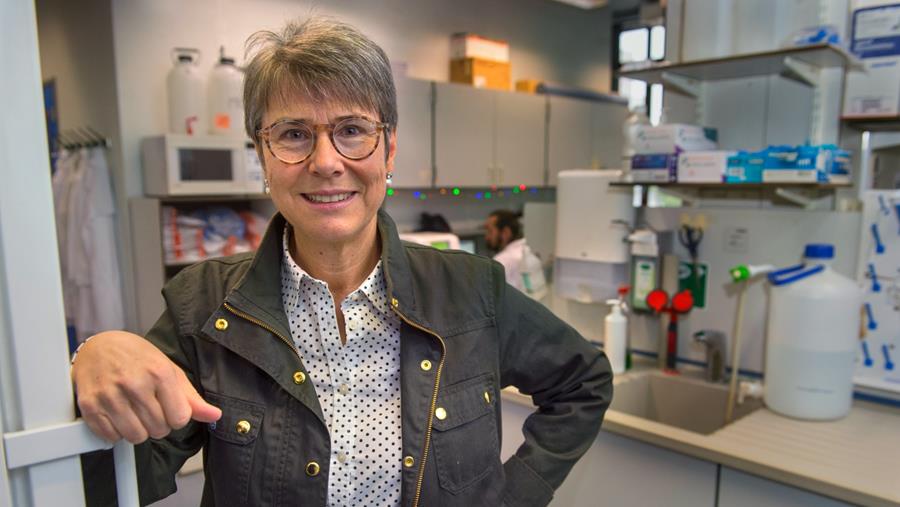 Transplantatiegeneesmiddel remt type 1 diabetes bij jongeren af