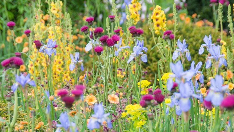 Welke tuintrends zwaaien de scepter in 2026?