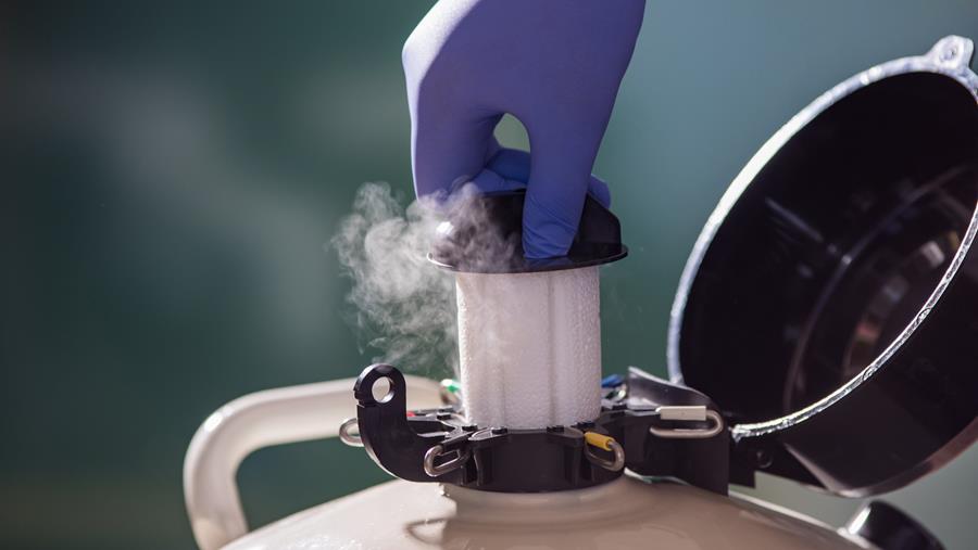 Fraudes dans les centres de fertilité: déjà 30 procès-verbaux transmis au parquet