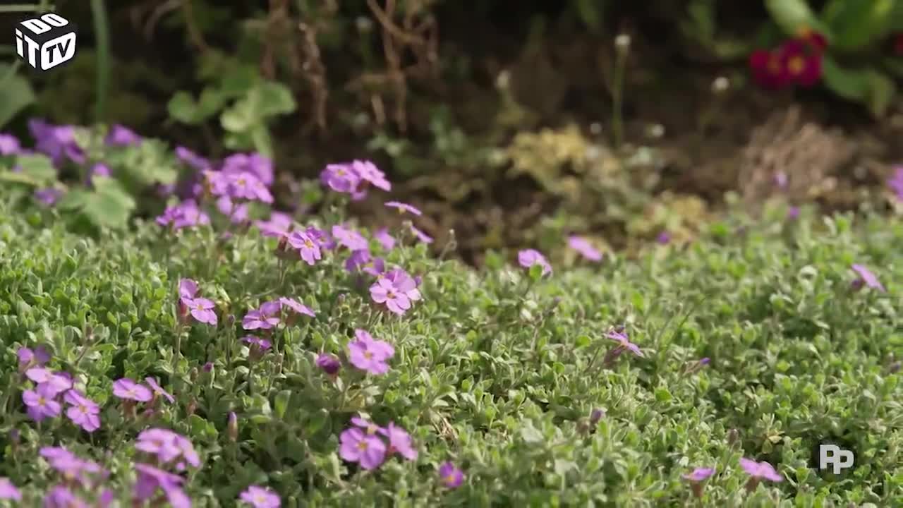 Jardin ouvrier: les semis